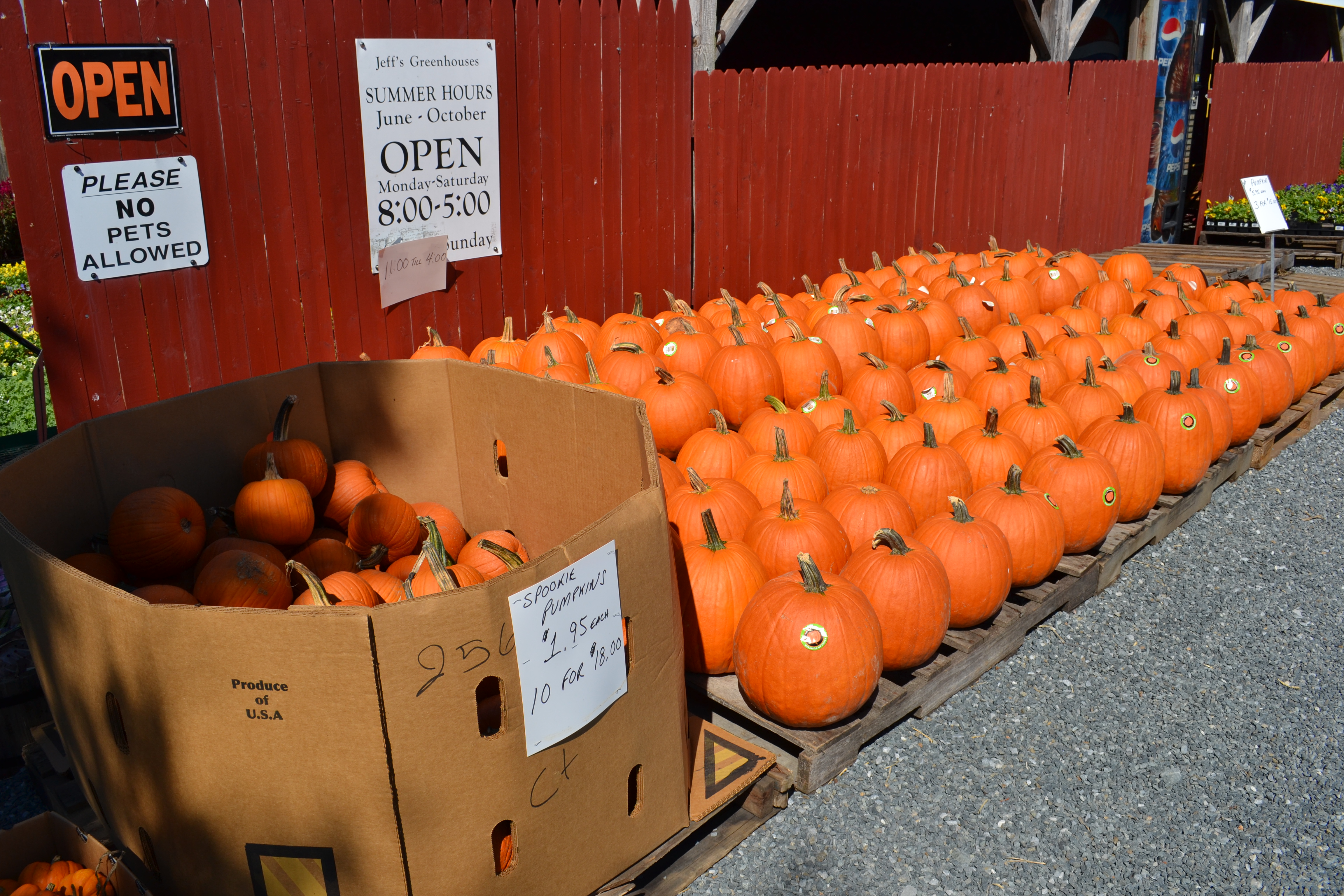 Jeff's Greenhouses & Gift Shop