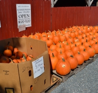 Jeff's Greenhouses & Gift Shop